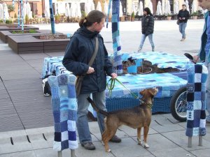 kek-szechenyi-ter-gyor-2015